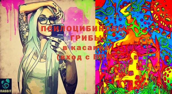 соль курить ск Алзамай
