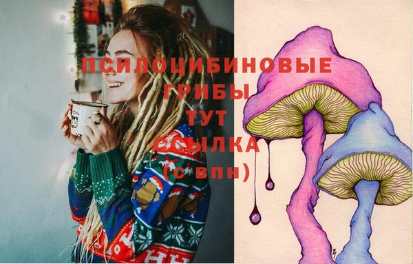 молекула духа Алексеевка