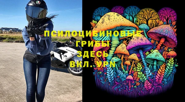 героин Алексин