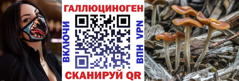 Галлюциногенные грибы Magic Shrooms  blacksprut маркетплейс  shop клад  цены   Иланский 